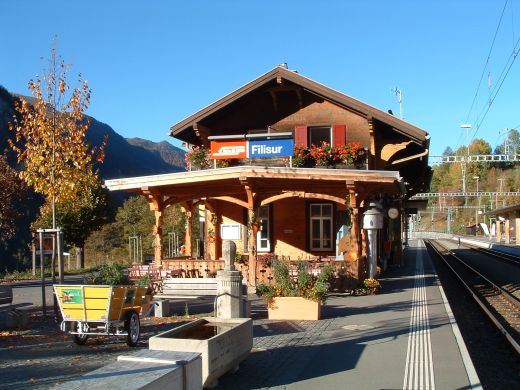 Albula_11.jpg