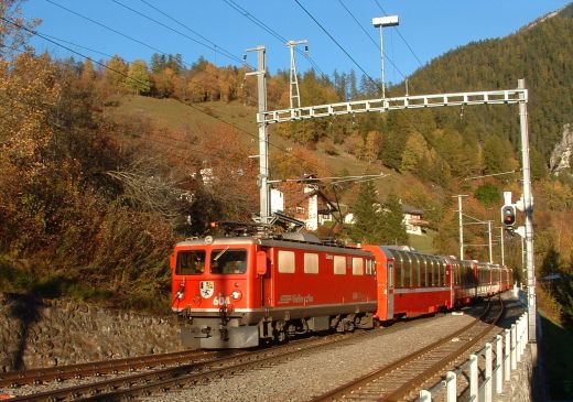 Albula_15.jpg