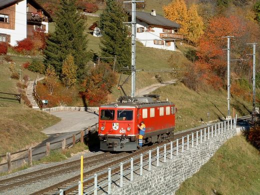 Albula_16.jpg