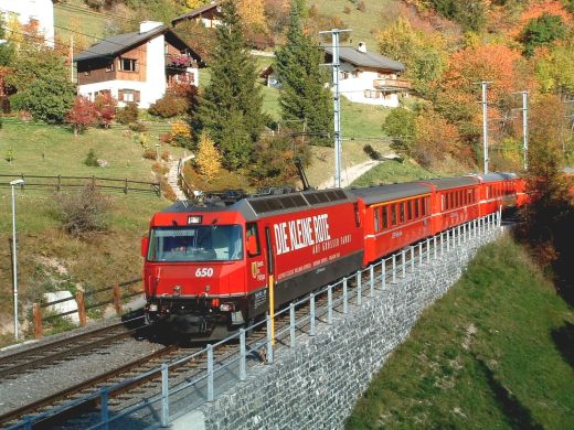 Albula_20.jpg