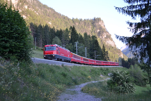 Albula_22.jpg