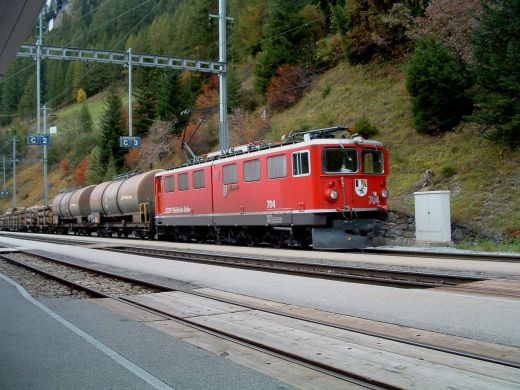 Albula_23.jpg