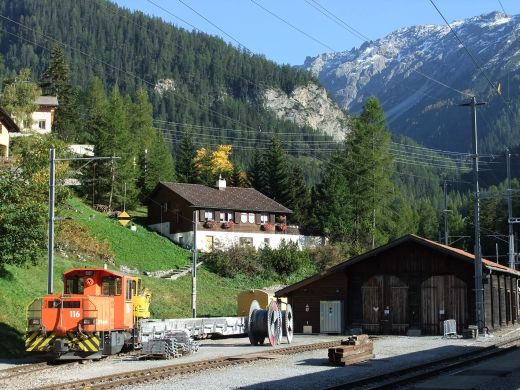 Albula_25.jpg