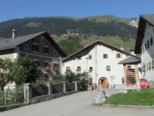 Albula_27.jpg