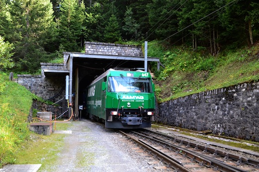 Albula_42.jpg