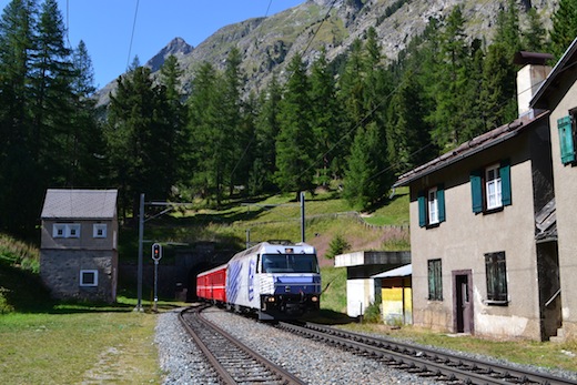 Albula_43.jpg