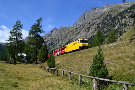 Albula_45.jpg