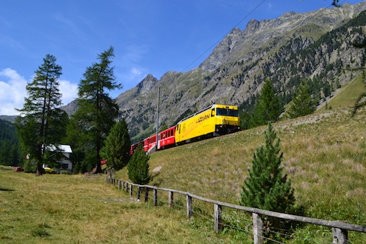 Albula_45.jpg