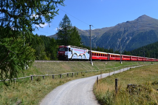 Albula_46.jpg