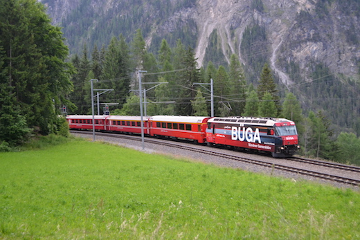 Albula_49.jpg