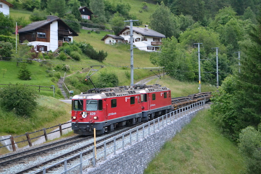 Albula_56.jpg