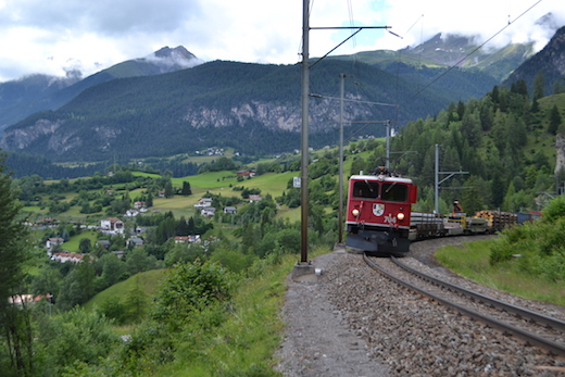 Albula_61.jpg