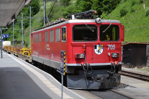 Albula_65.jpg