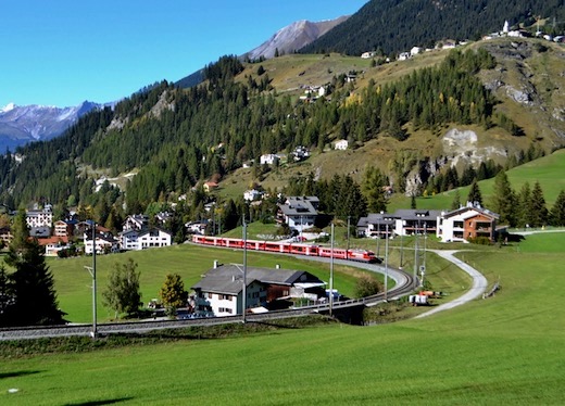 Albula_76.jpg