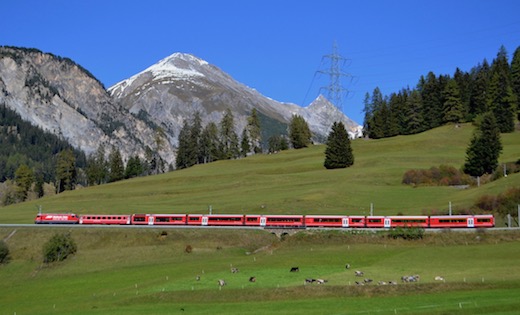 Albula_79.jpg