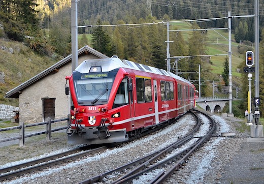 Albula_85.jpg