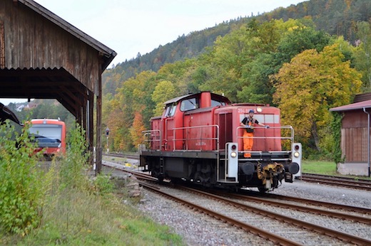 Altensteigerle_22.jpg