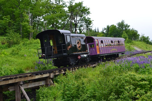 Cog_Railway_07.jpg