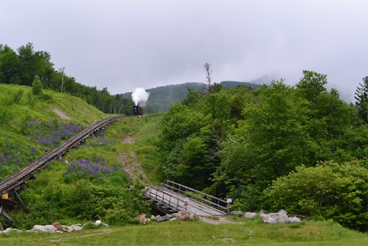 Cog_Railway_11.jpg