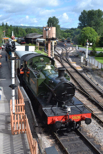 South_Devon_04.jpg