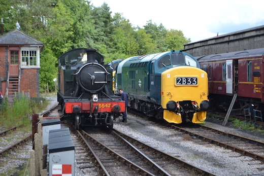 South_Devon_18.jpg