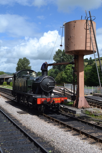 South_Devon_19.jpg
