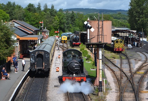 South_Devon_20.jpg